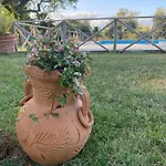 Il Girasole Terzuolo