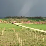 Il Girasole Terzuolo Alloggio per agriturismo *
