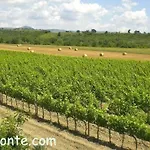 Alloggio per agriturismo Il Girasole Terzuolo Manciano