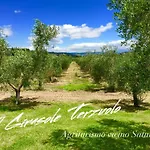 Alloggio per agriturismo Il Girasole Terzuolo *