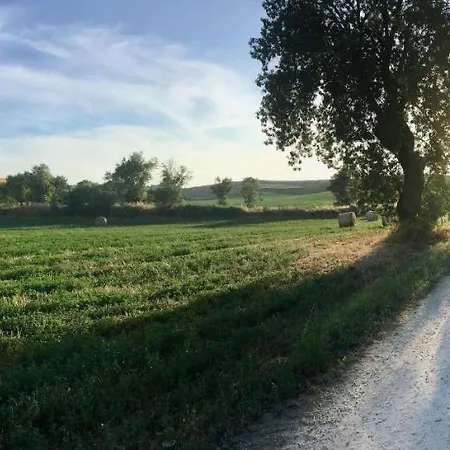 Il Girasole Terzuolo *