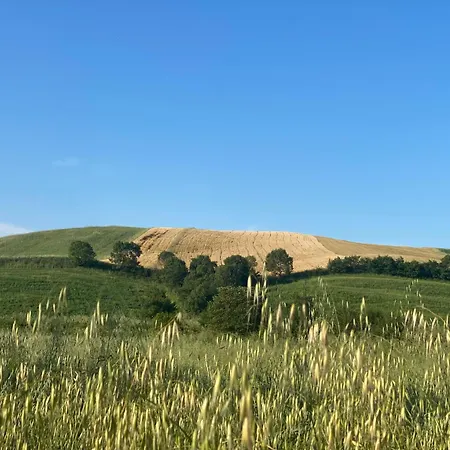 Il Girasole Terzuolo Agroturismo Manciano