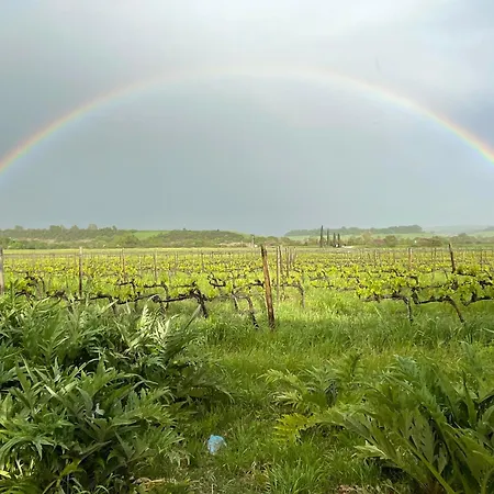 Agroturismo Il Girasole Terzuolo Manciano