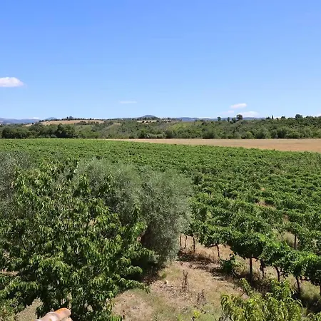 Farma Il Girasole Terzuolo