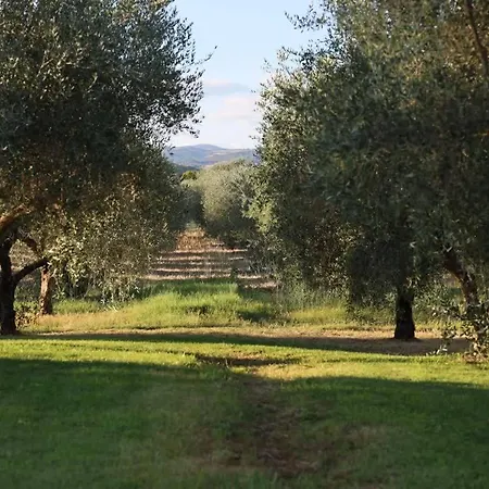 Il Girasole Terzuolo Farma