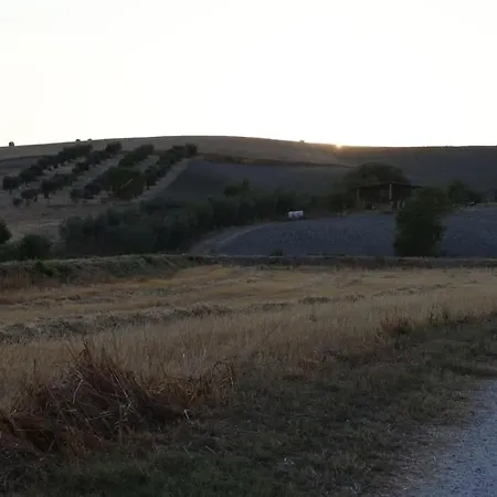 Il Girasole Terzuolo Manciano
