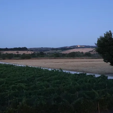 Il Girasole Terzuolo Farma *