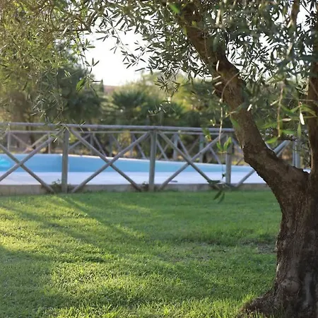Il Girasole Terzuolo Farma *