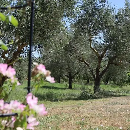 Farma Il Girasole Terzuolo