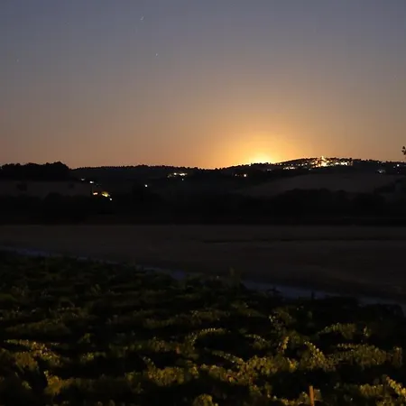 Il Girasole Terzuolo *