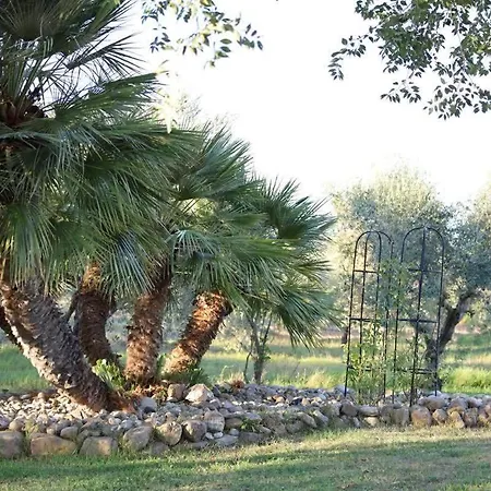 Il Girasole Terzuolo