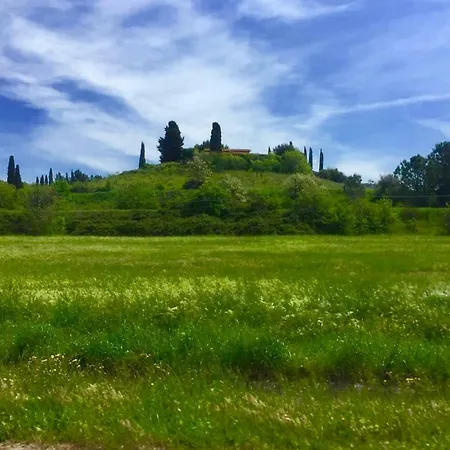 Il Girasole Terzuolo Farma